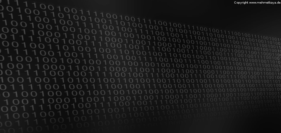 "Digital for storage and quickness. Analog for fatness and warmth. Adrian Belew"